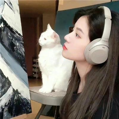 美丽之星